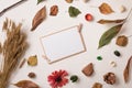Autumn frame with paper card