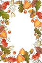 Autumn frame, postcard with watercolor illustrations. Oak leaves, orange physalis, rowan bunch, acorns