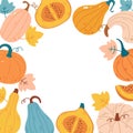 Autumn frame with pumpkin of various shapes Royalty Free Stock Photo