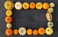 Autumn frame of pumpkins and squashes background Royalty Free Stock Photo