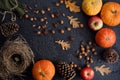 Autumn frame of pumpkins, tree leaves, hazelnuts on a black textural background. Autumn, fall, thanksgiving concept. Flat lay,