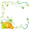 Autumn frame with pumpkins and vines, leaves and place for text. Thanksgiving, halloween or corn festival card template Royalty Free Stock Photo