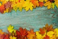 Autumn frame Royalty Free Stock Photo