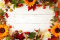 Autumn frame with wheat ears, sunflowers, leaves and berries on white wooden table. Flat lay, copy space. Concept of fall harvest Royalty Free Stock Photo