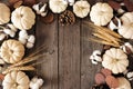 Autumn frame of white pumpkins with brown fall decor over a rustic dark wood background Royalty Free Stock Photo