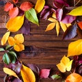 Autumn frame for your idea and text. Autumn fallen dry leaves of yellow, red, orange, laid out on the left side of the Royalty Free Stock Photo