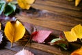 Autumn frame for your idea and text. Autumn fallen dry leaves of yellow, red, orange, laid out on the left side of the Royalty Free Stock Photo