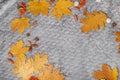 Autumn Frames and fall wall papers. Autumn background of leaves Royalty Free Stock Photo
