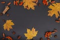 Autumn Frames and fall wall papers. Autumn background of leaves Royalty Free Stock Photo