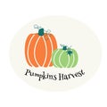 Two colourful pumpkins on grey background. Vector illustration with lettering