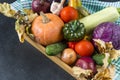 autumn fresh vegetables, pumpkins, tomatoes, cabbage, zucchini, onions, dry fallen leaves, cucumber, garlic Royalty Free Stock Photo