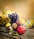 Autumn fruit Royalty Free Stock Photo