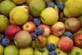 Autumn fruit apples pears and plums Italian production Royalty Free Stock Photo