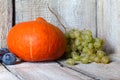 Autumn fruit background. Autumn Thanksgiving seasonal fruit. Nature background.