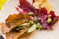 Autumn fruit background. Autumn Thanksgiving seasonal fruit. Decorative leaves,colorful leaves,chestnuts,acorns,Rowan