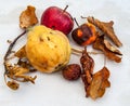 Autumn fruit and leaves with quince and apples