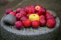 Autumn fruit and raindrops on a granite stone Royalty Free Stock Photo