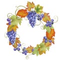 Autumn fruit wreath of blue grapes, red and green grape leaves Royalty Free Stock Photo