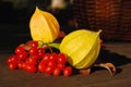 Autumn fruits