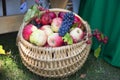 Autumn fruits in the basket Royalty Free Stock Photo