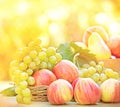 Autumn fruits