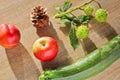 Autumn fruits, cone, chestnuts, apple nectarine and cucumber on