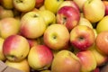 Many fresh ripe red yellow apples, autumn fruits Royalty Free Stock Photo