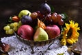 Autumn fruits still life Royalty Free Stock Photo