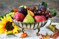 Autumn fruits still life Royalty Free Stock Photo