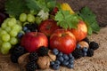 Autumn fruits for thanksgiving Royalty Free Stock Photo