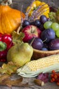 Autumn fruits and vegetables abstract still life Royalty Free Stock Photo