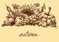 Autumn fruits and vegetables