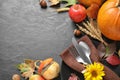 Autumn fruits, vegetables and cutlery on grey background. Happy Thanksgiving day Royalty Free Stock Photo