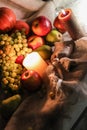 Autumn fruits and vegetables still life on a sackcloth. White grapes sultana red apples and green pears with candles Royalty Free Stock Photo