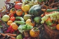 autumn fruits and vegetables - top view
