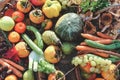 autumn fruits and vegetables - top view - rustic composition