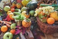 autumn fruits and vegetables - top view - rustic composition