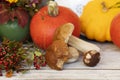 Autumn fruits on wooden background