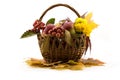 Autumn fruits with yellow leaves in a basket