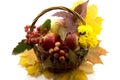 Autumn fruits with yellow leaves in a basket