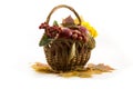 Autumn fruits with yellow leaves in a basket