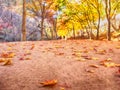Autumn of Gancheonsan Mountain, Sunchang, Jeollanamdo, South Korea Royalty Free Stock Photo