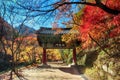 Autumn of Gancheonsan Mountain, Sunchang, Jeollanamdo, South Korea Royalty Free Stock Photo