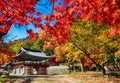 Autumn of Gancheonsan Mountain, Sunchang, Jeollanamdo, South Korea Royalty Free Stock Photo