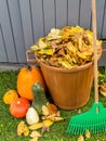 Autumn garden cleaning