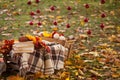 Autumn garden decor Royalty Free Stock Photo