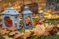 Autumn garden decor Royalty Free Stock Photo