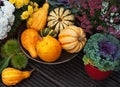 Autumn garden decor Royalty Free Stock Photo