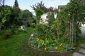 Autumn garden with flowering flower beds. Berlin, Germany Royalty Free Stock Photo