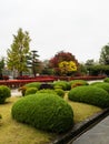 Autumn garden on the grounds of former Kaichi school in Matsumoto Royalty Free Stock Photo